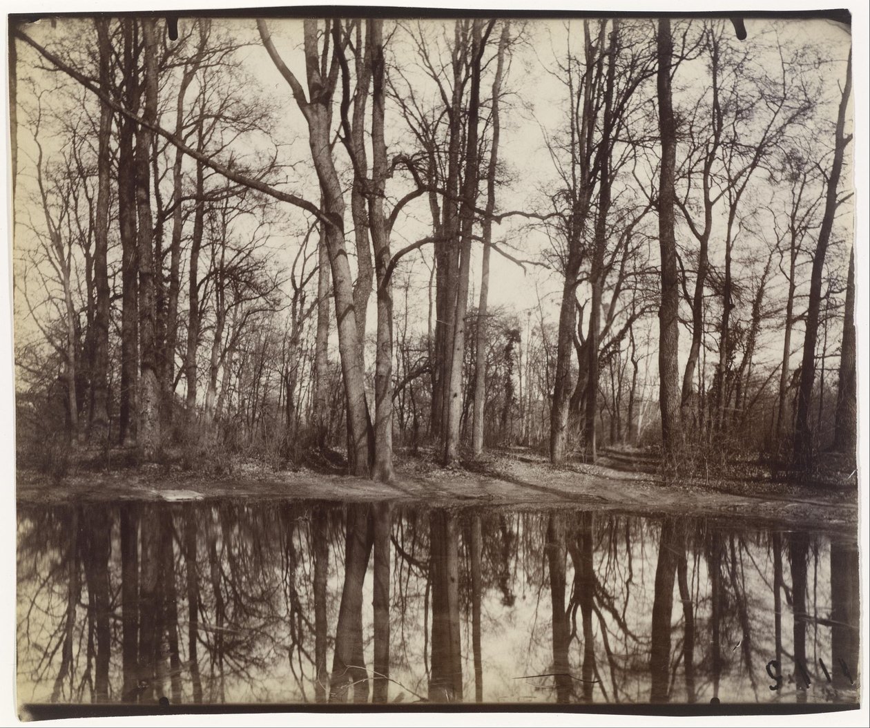 Saint-Cloud, jardins do castelo de Filipe, duque de Orleães de Eugène Atget