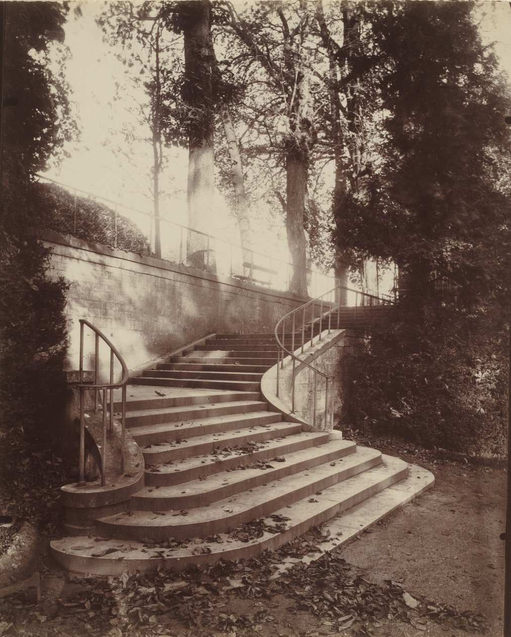 Os degraus de Saint-Cloud, 1906 (foto) de Eugène Atget