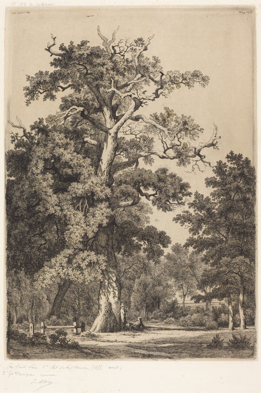 Carvalho antigo no Bois de Boulogne de Eugene Bléry