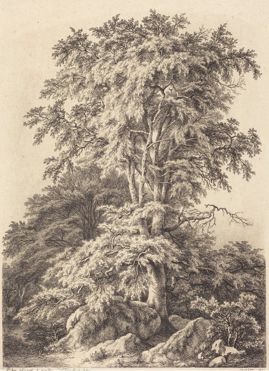 Bosque de faias de Eugene Bléry