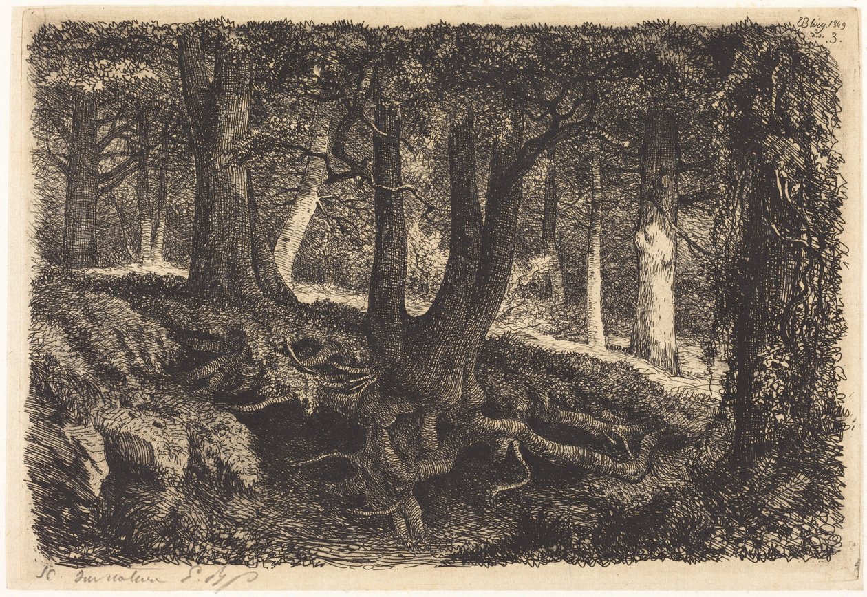 A árvore com raízes (Tree with Roots) de Eugene Bléry