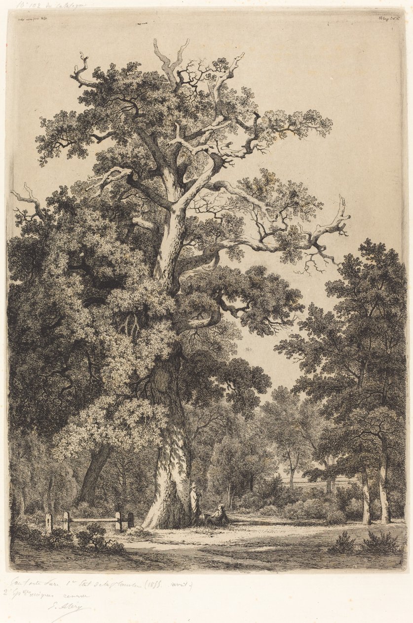 Carvalho antigo no Bois de Boulogne, 1855. de Eugene Bléry