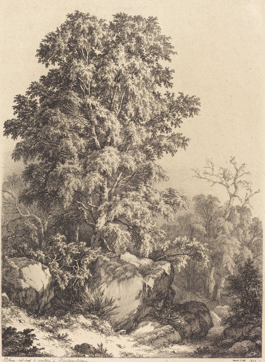 Bosque de Faias de Eugene Bléry