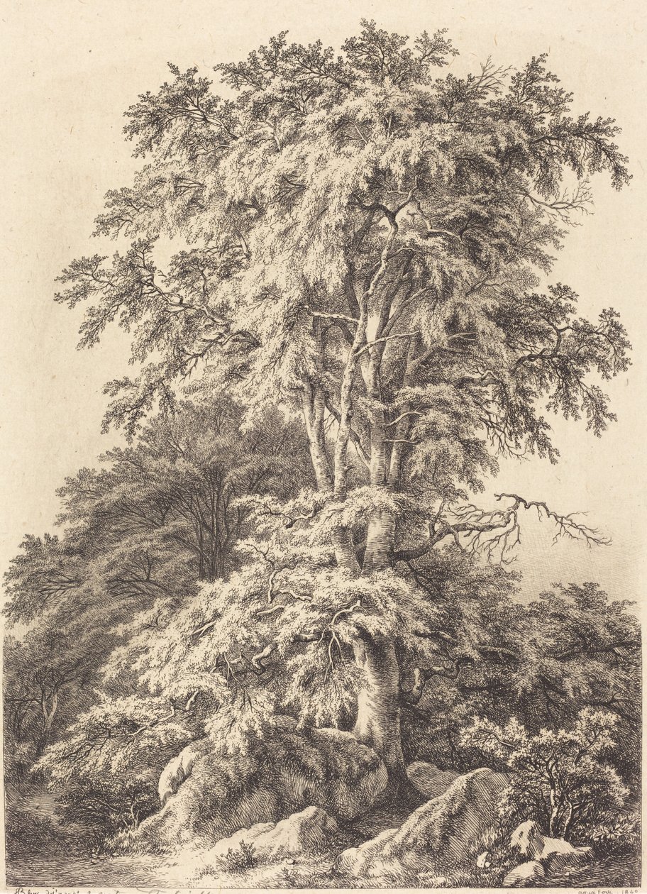 Bosque das Faias, 1840. de Eugene Bléry