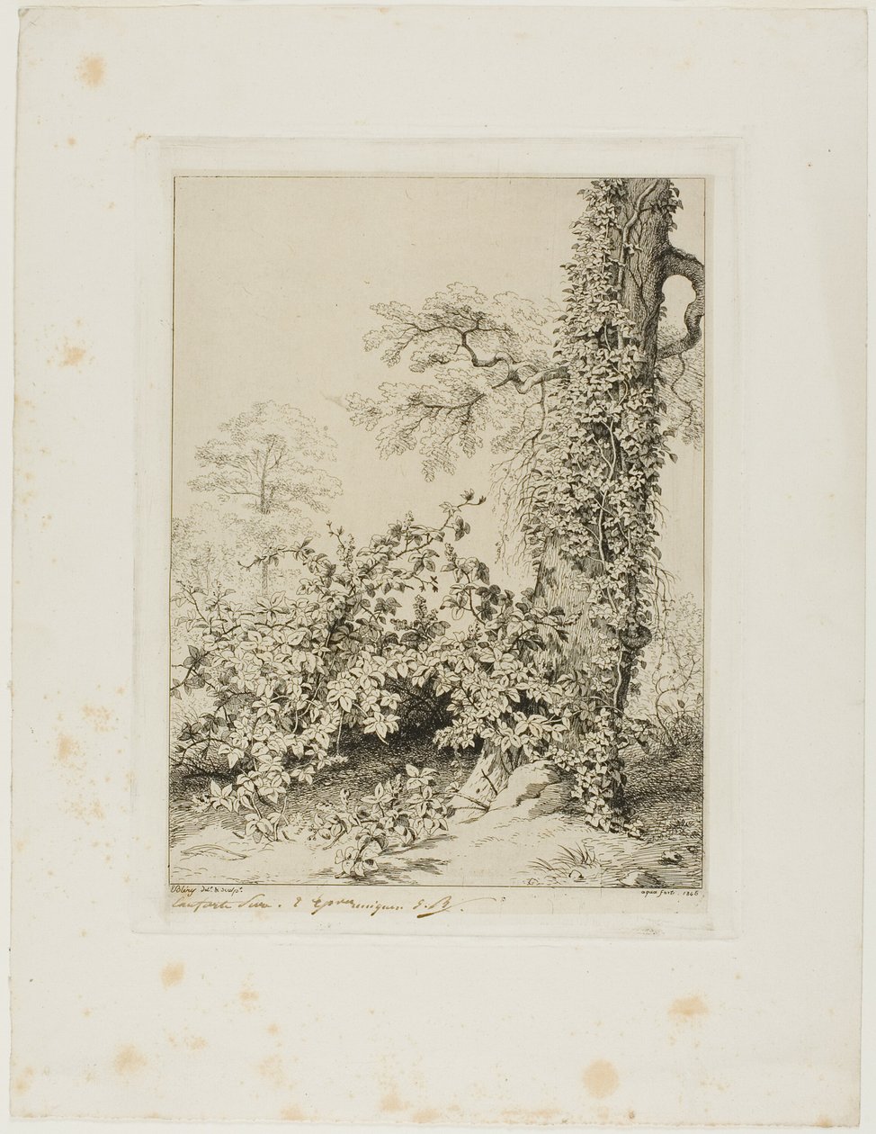 Amora e Ivy de Eugene Bléry