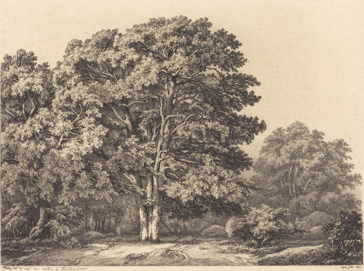 Entrada para uma floresta, 1840. de Eugene Bléry