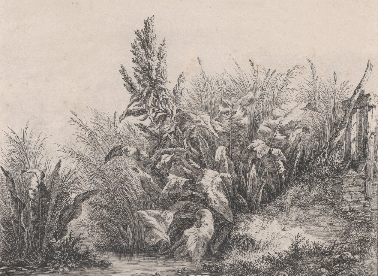 Grande Doca de Água, 1840. de Eugene Bléry