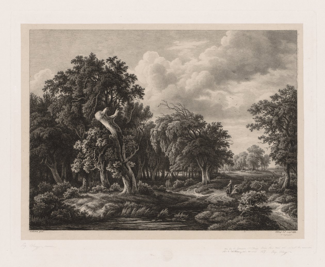 Grupos de várias plantas desenhadas após a natureza: No. 7 de Eugene Bléry