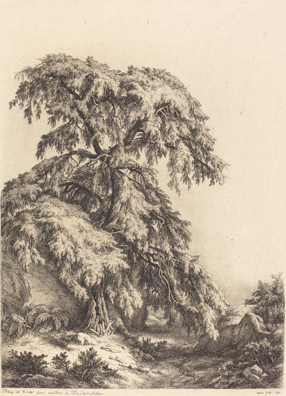 Junípero, 1840. de Eugene Bléry