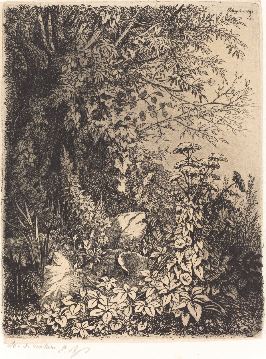 La bardane au saule (Bardana com Salgueiro) de Eugene Bléry