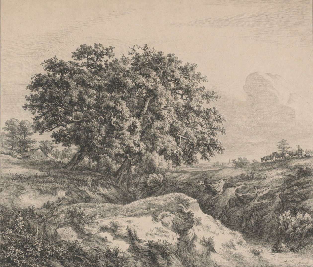Floresta. de Eugene Bléry