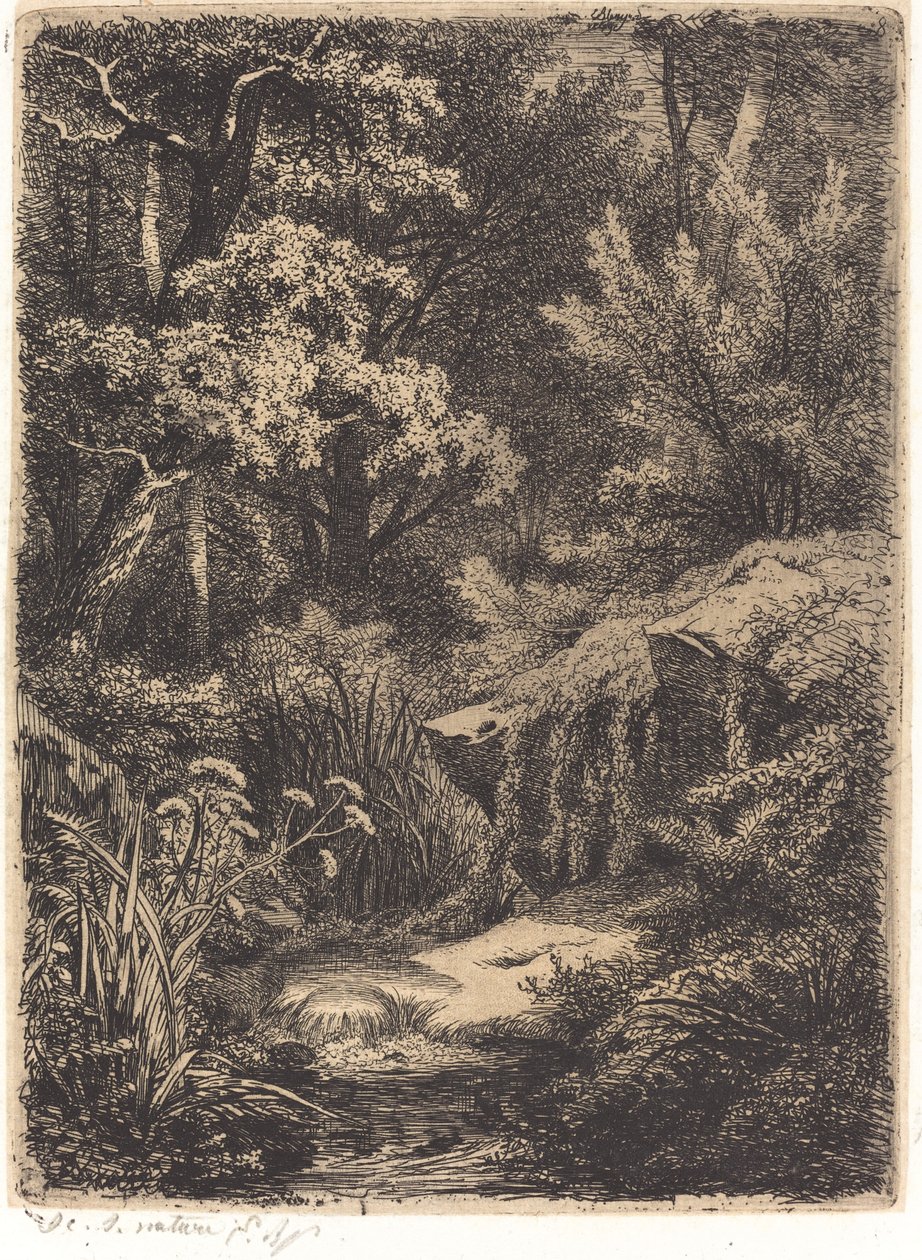 Le petit ruisseau The Little Brook, publicado em 1849. de Eugene Bléry