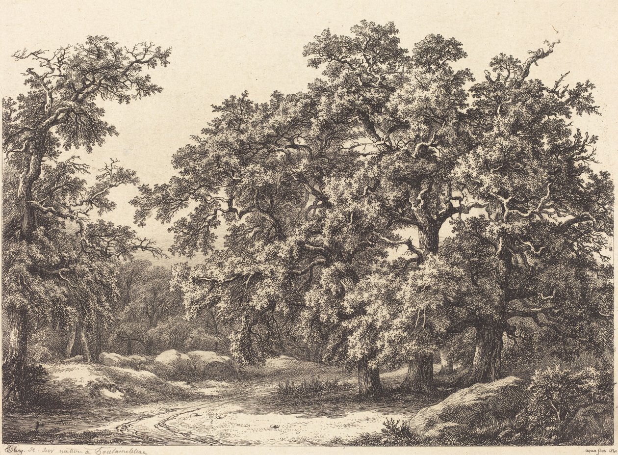 Carvalhos, 1840. de Eugene Bléry