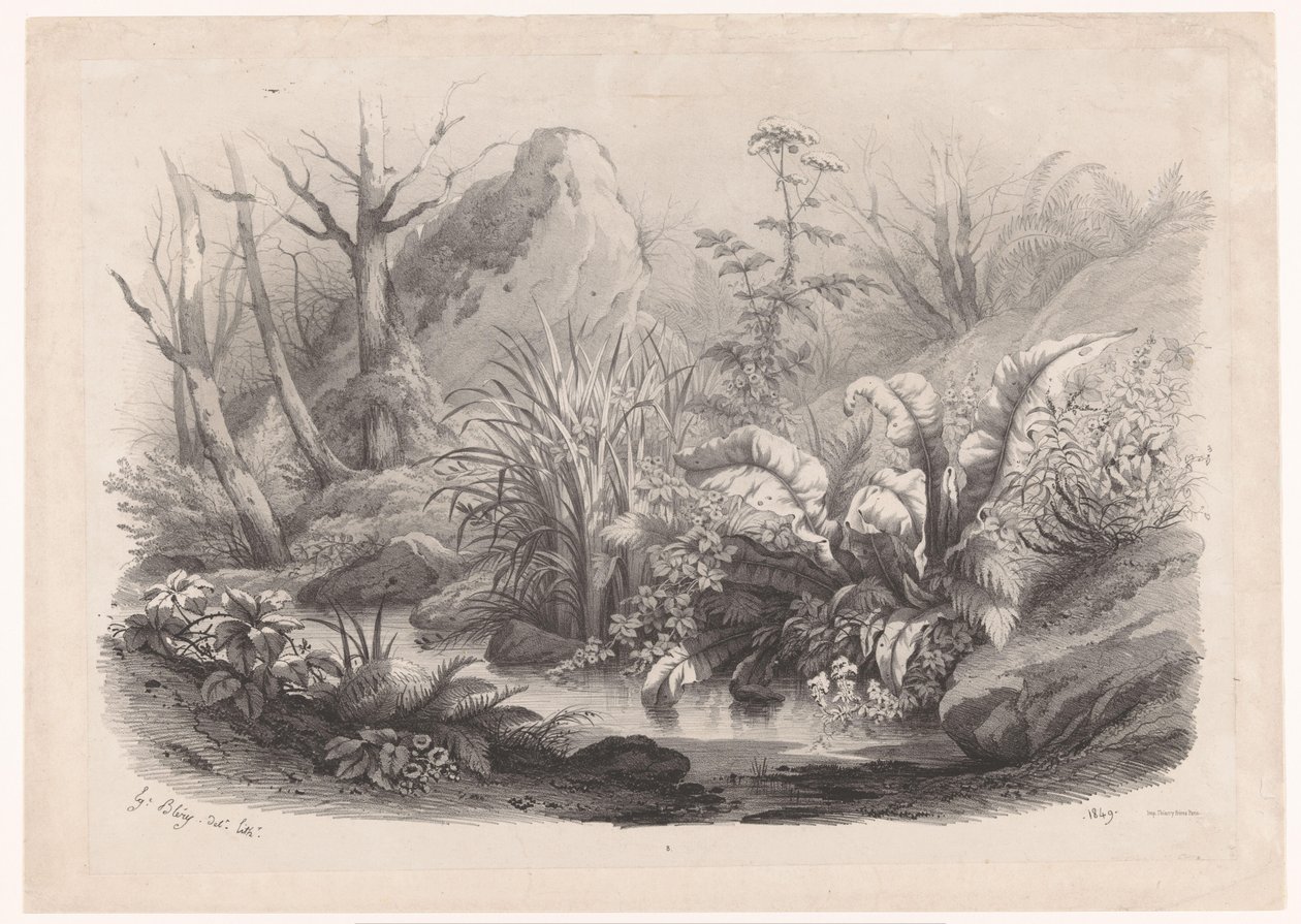 Oeverplanten bij een beek
Planten diversificado (título da série)
Diversos grupos de plantas desenhados sobre a natureza e litografados (título da série) de Eugene Bléry