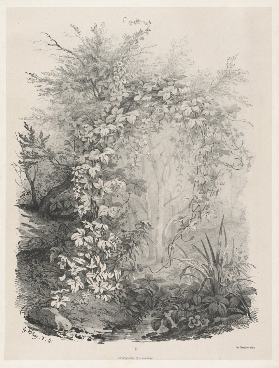 Plantas e heras por um córrego de Eugene Bléry