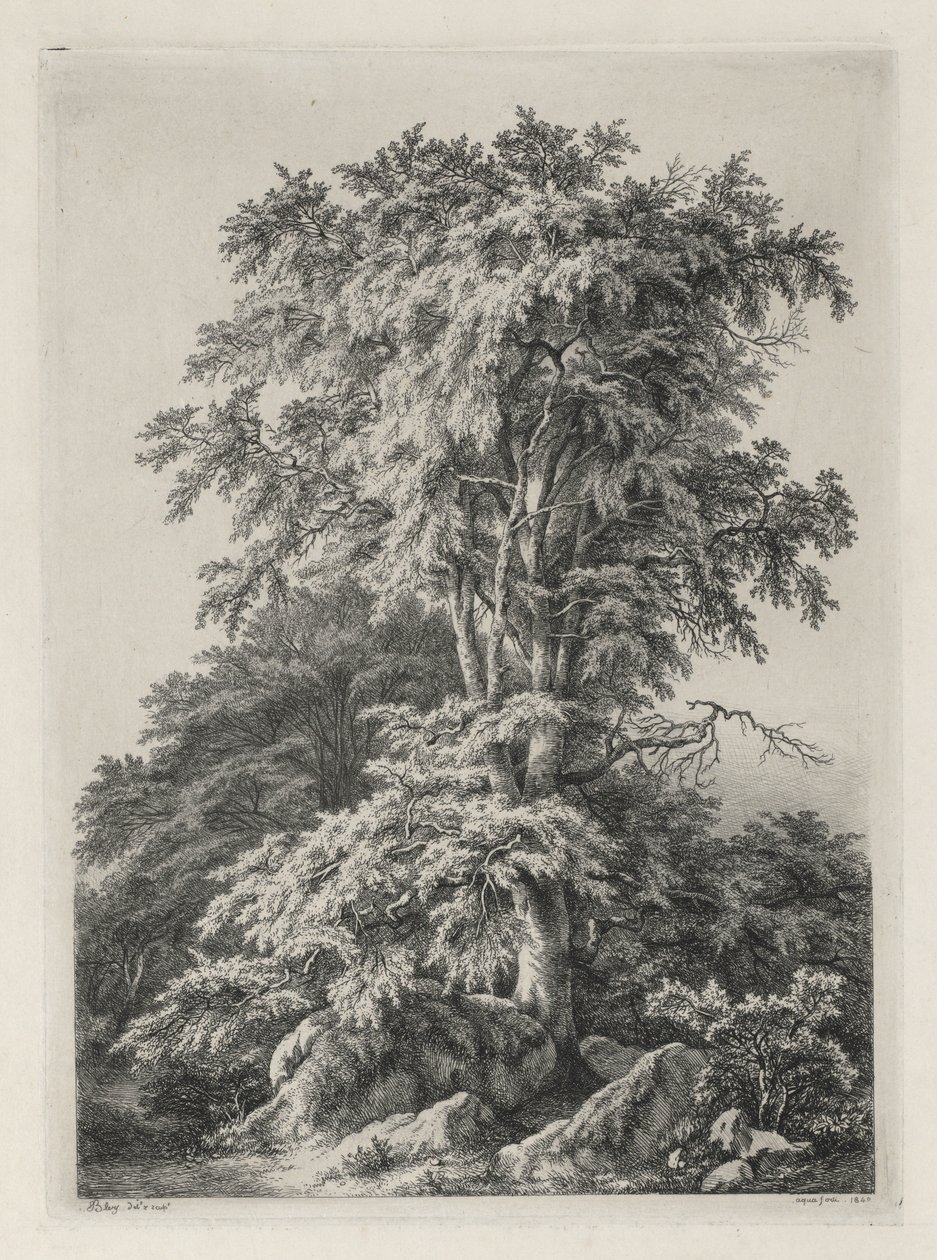 Estudos desenhados e gravados após a natureza: The Beach, Fontainbleau ..., 1840. de Eugene Bléry