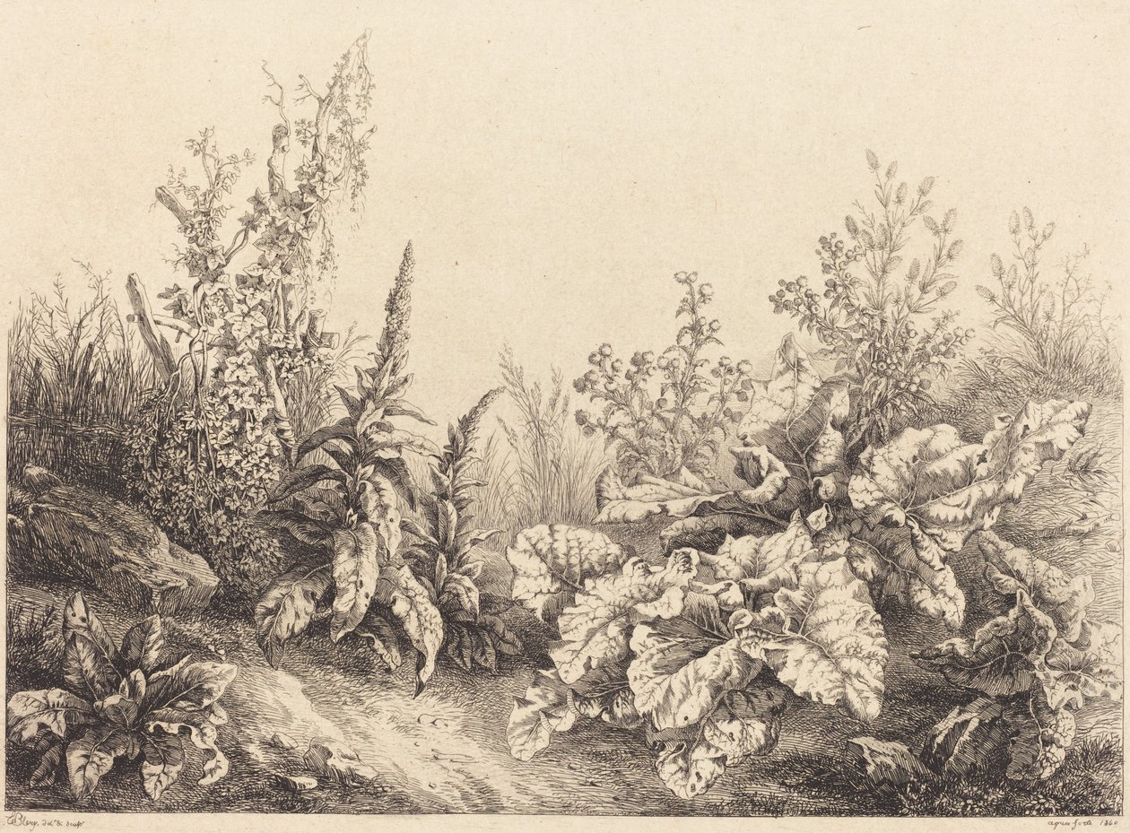 Floresta. de Eugene Bléry