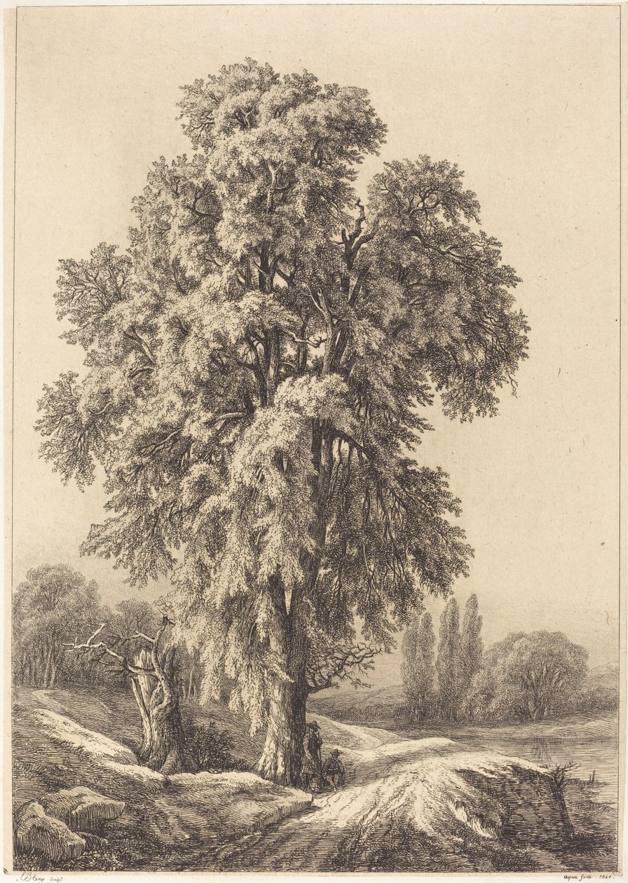 Floresta. de Eugene Bléry