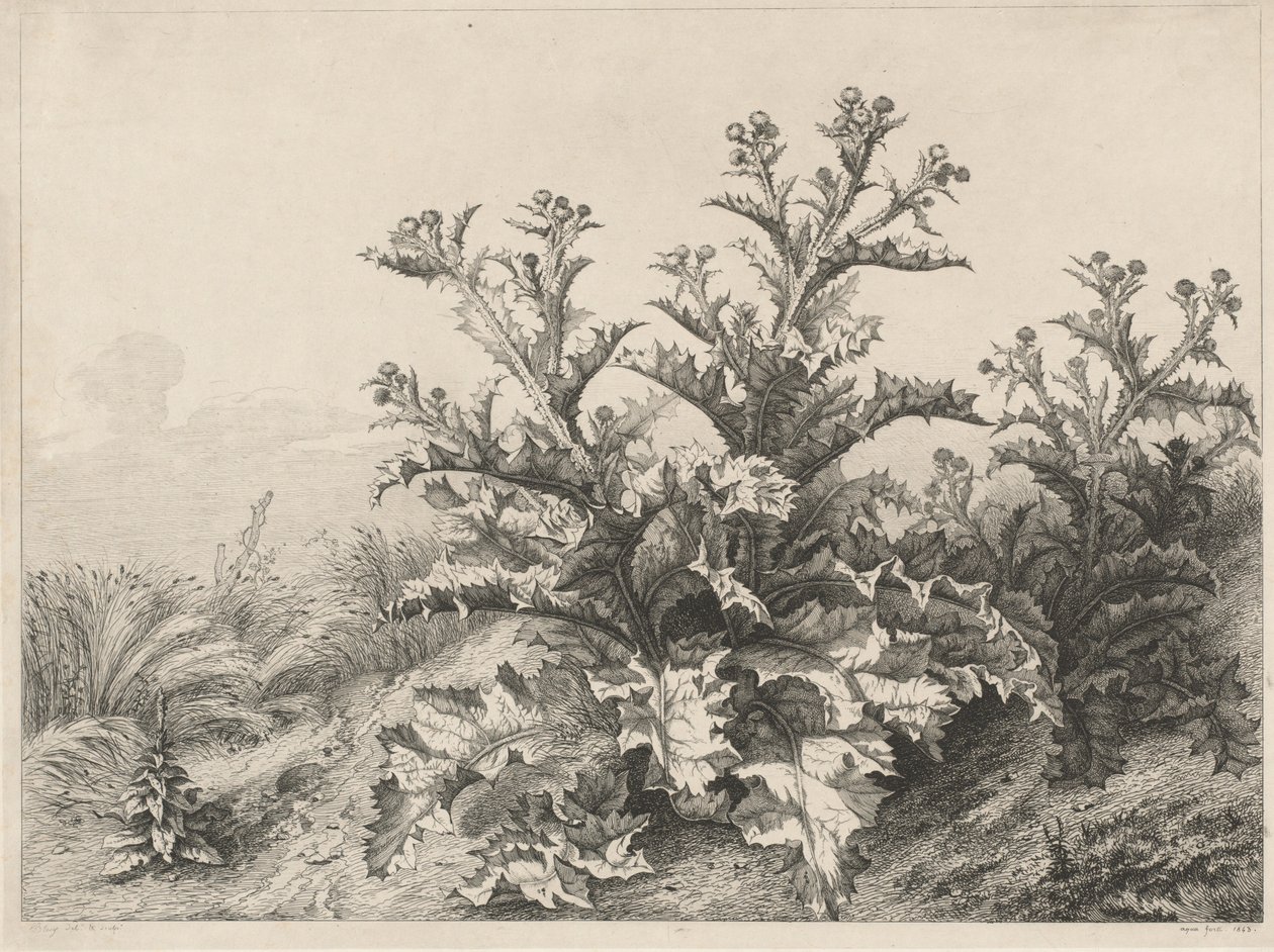 O Grande Cardo Le Grand Chardon, 1843. de Eugene Bléry