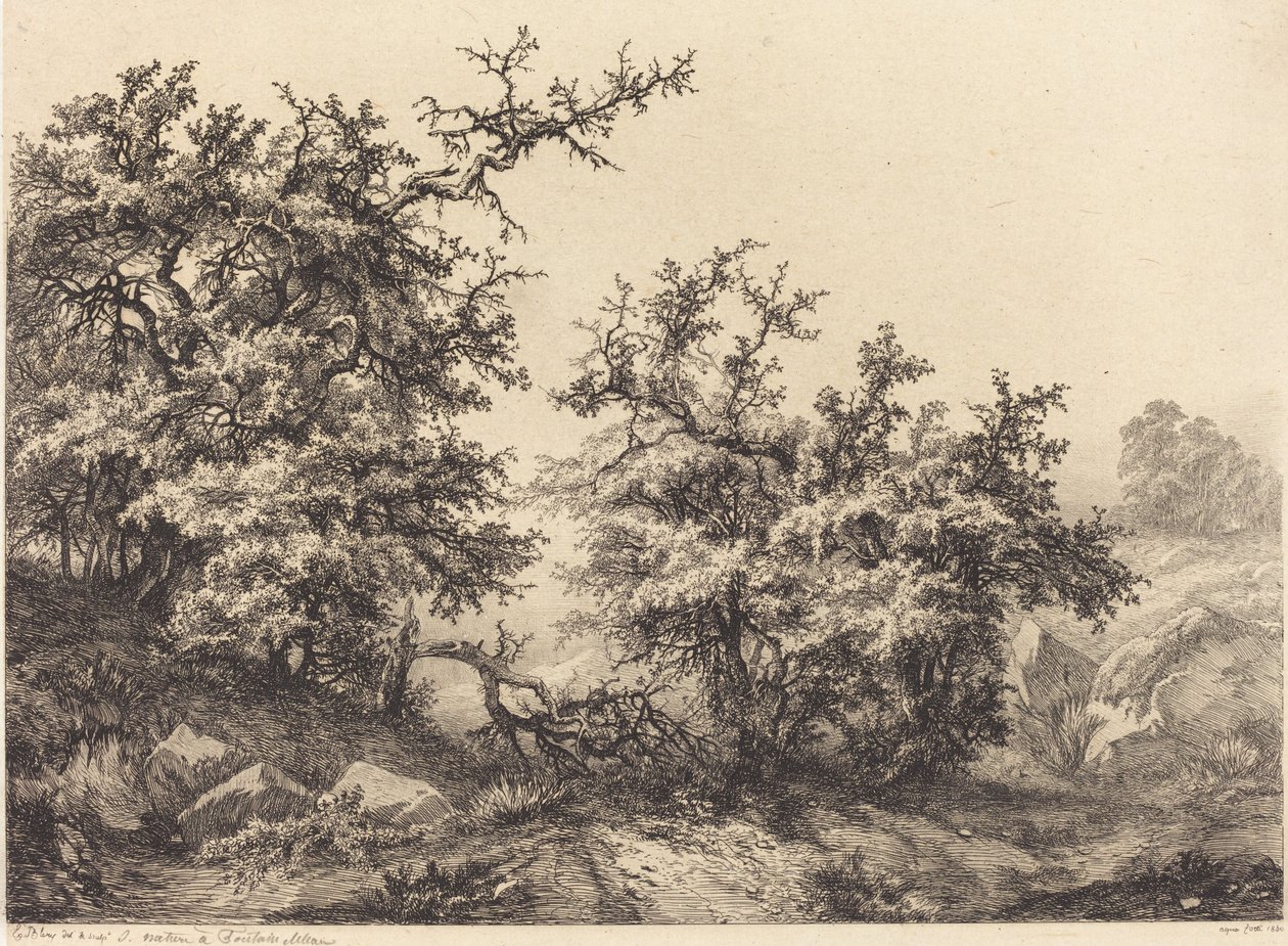 Espinheiros, 1840. de Eugene Bléry