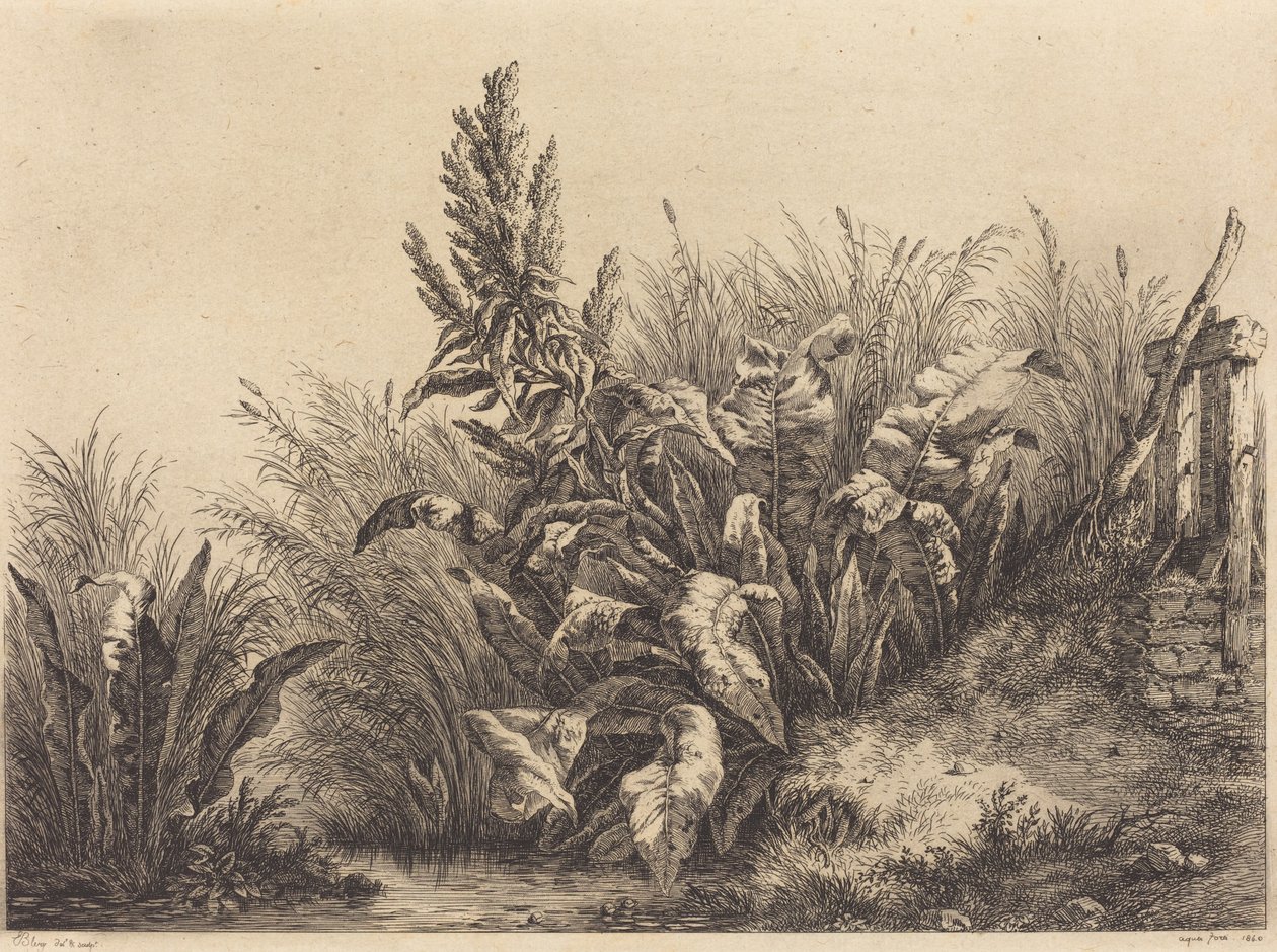 Cais de Água, 1840. de Eugene Bléry