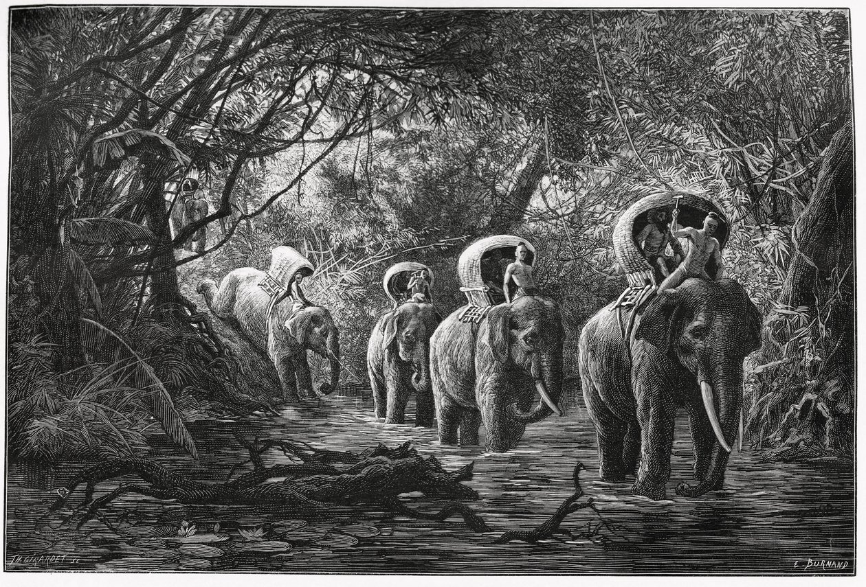 No caminho para a floresta, a expedição viaja na parte de trás de um elefante. Gravura de Eugene Burnand, para ilustrar a história "Viagem no Alto Laos", em 1880, pelo Dr. P.Neis. Publicado em Le Tour du monde, nouveau journal des voyages, 2º semestre 18 de Eugene Burnand
