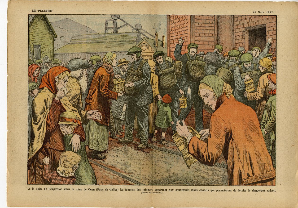 Ilustração de Eugene Damblans (1865-1945) em Le Pelerin, 20/03/27 - Após a explosão na mina de... as mulheres dos mineiros trazem aos socorristas seus canários que permitem deter o perigoso grisu - Inglaterra Grã-Bretanha, Mineração, Indústria em de Eugene Damblans