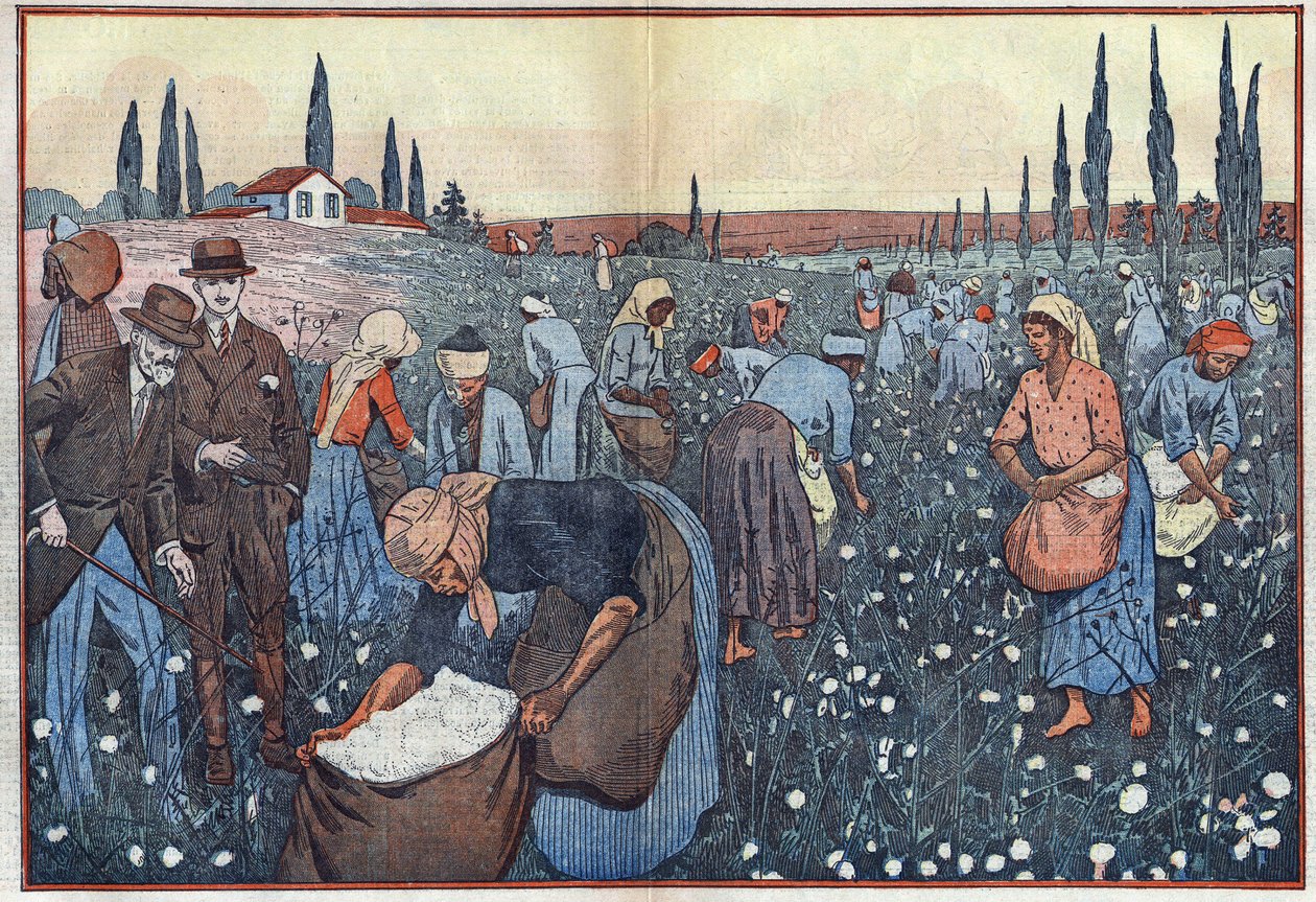 A cultura do algodão, perto de Orleanville, no Vale de Chelif, na Argélia. A ilustração de Damblans. Em "Le Pelerin" de 23 de fevereiro de Eugene Damblans