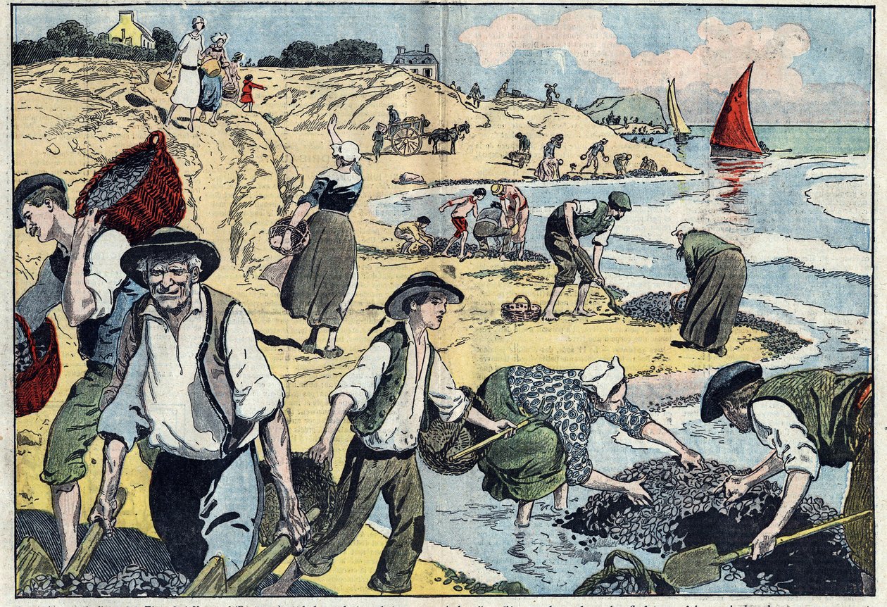 Os habitantes da linha costeira de Thouais estão a apanhar mexilhões. Kernevel, Finistere (29), Bretanha. Ilustração de Damblans. Em "Le Pelerin" de 31 de agosto de Eugene Damblans