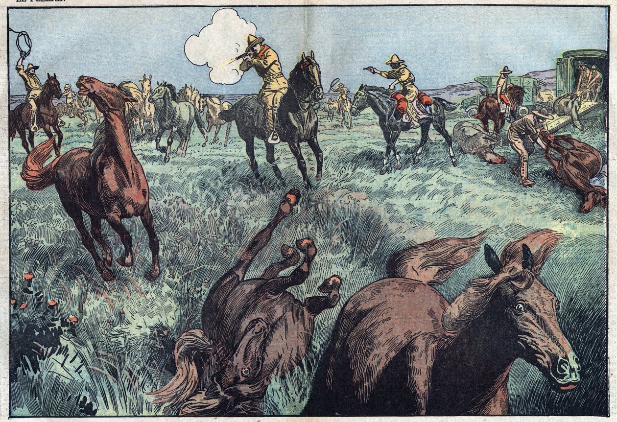 Os cavalos selvagens são abatidos nos Estados Unidos. Ilustração de Damblans. Em "Le Pelerin" de 31 de Janeiro... de Eugene Damblans