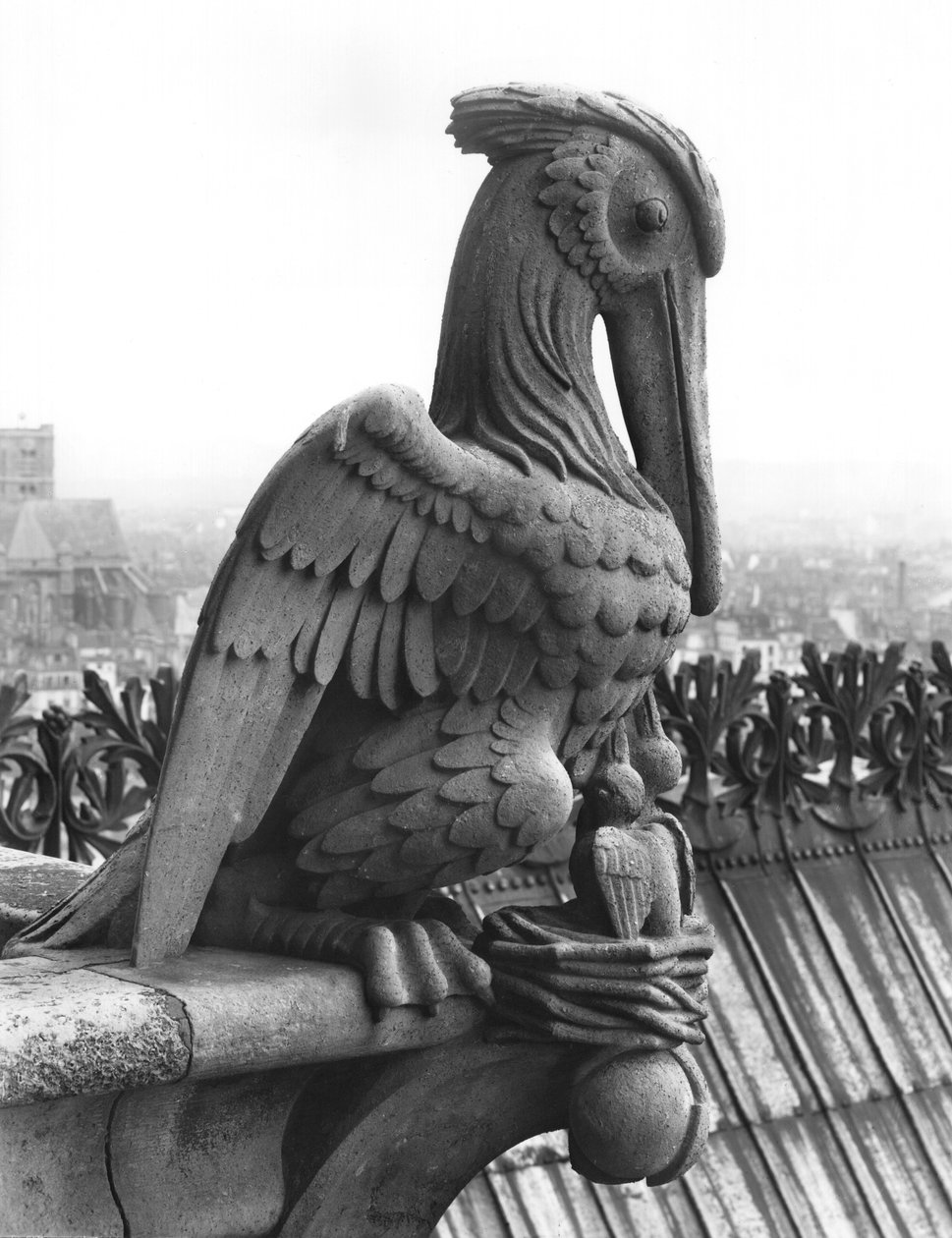 Gárgula Pelican da balaustrada da Grande Galerie da fachada oeste, réplica de um original do século XII (pedra) (foto a p/b) de Eugene Emmanuel Viollet le Duc