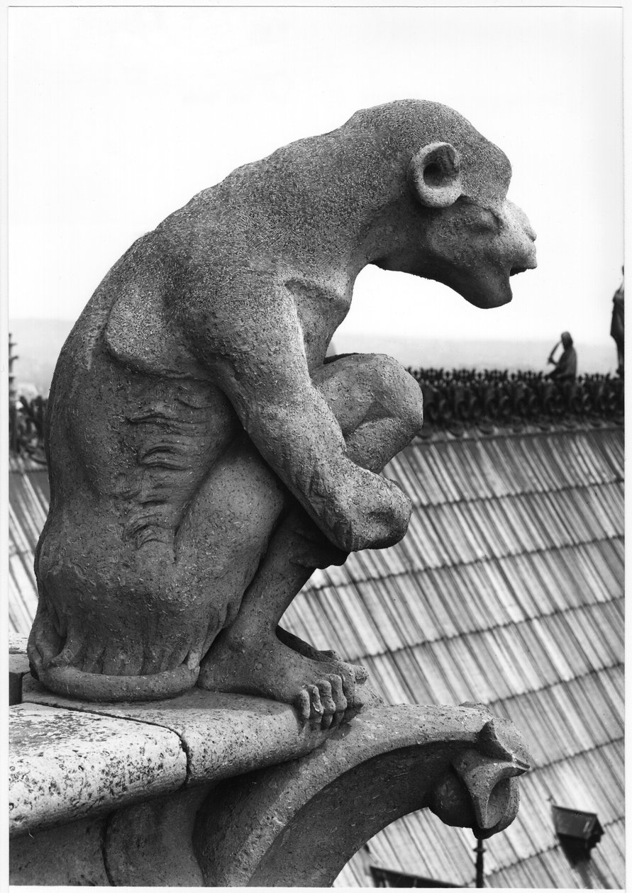 Gárgula de macaco, da balaustrada da Grande Galerie da fachada oeste, réplica de um original do século XII (pedra) (foto a p/b) de Eugene Emmanuel Viollet le Duc