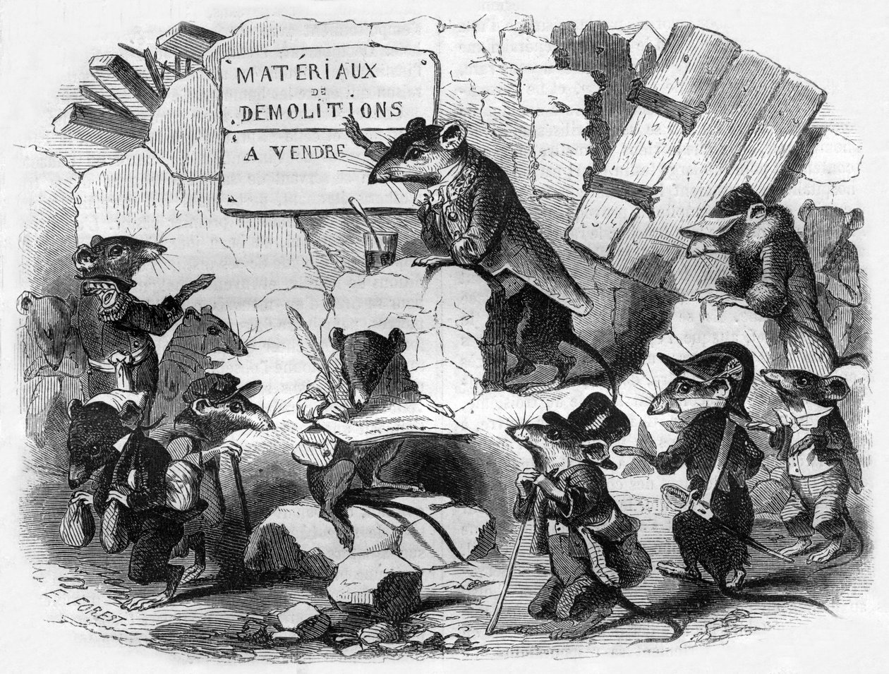 O conselho dos ratos de Eugene Hippolyte Forest