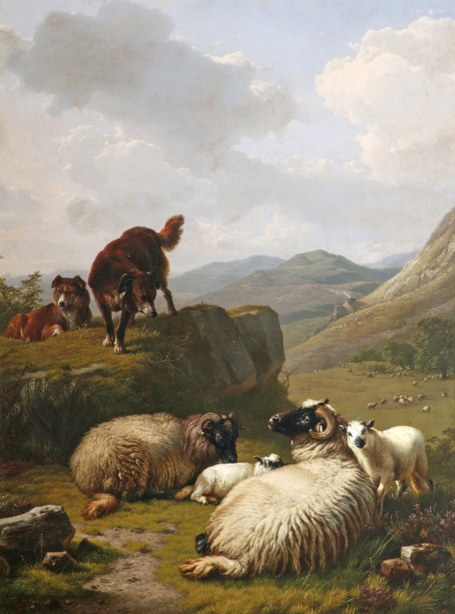 Ovelhas e cães de Eugene Joseph Verboeckhoven
