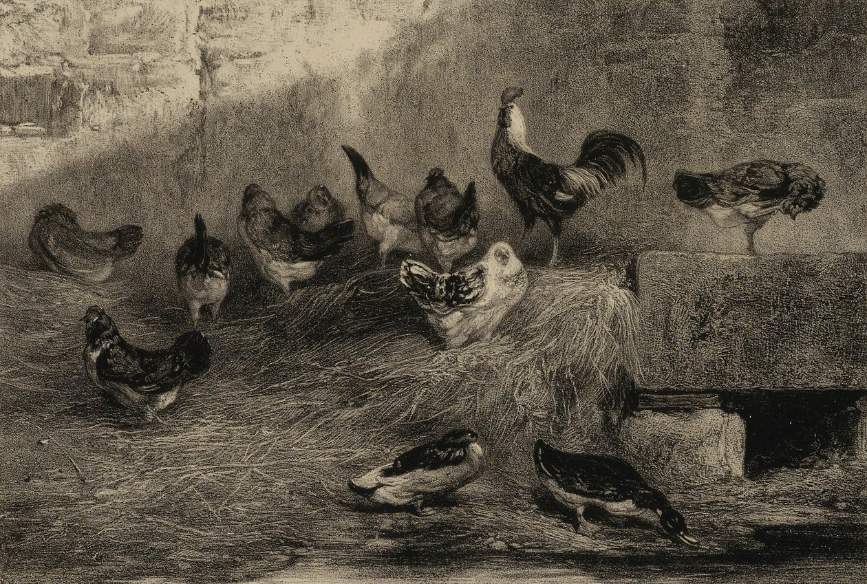 Galinhas e patos de Eugene Leroux