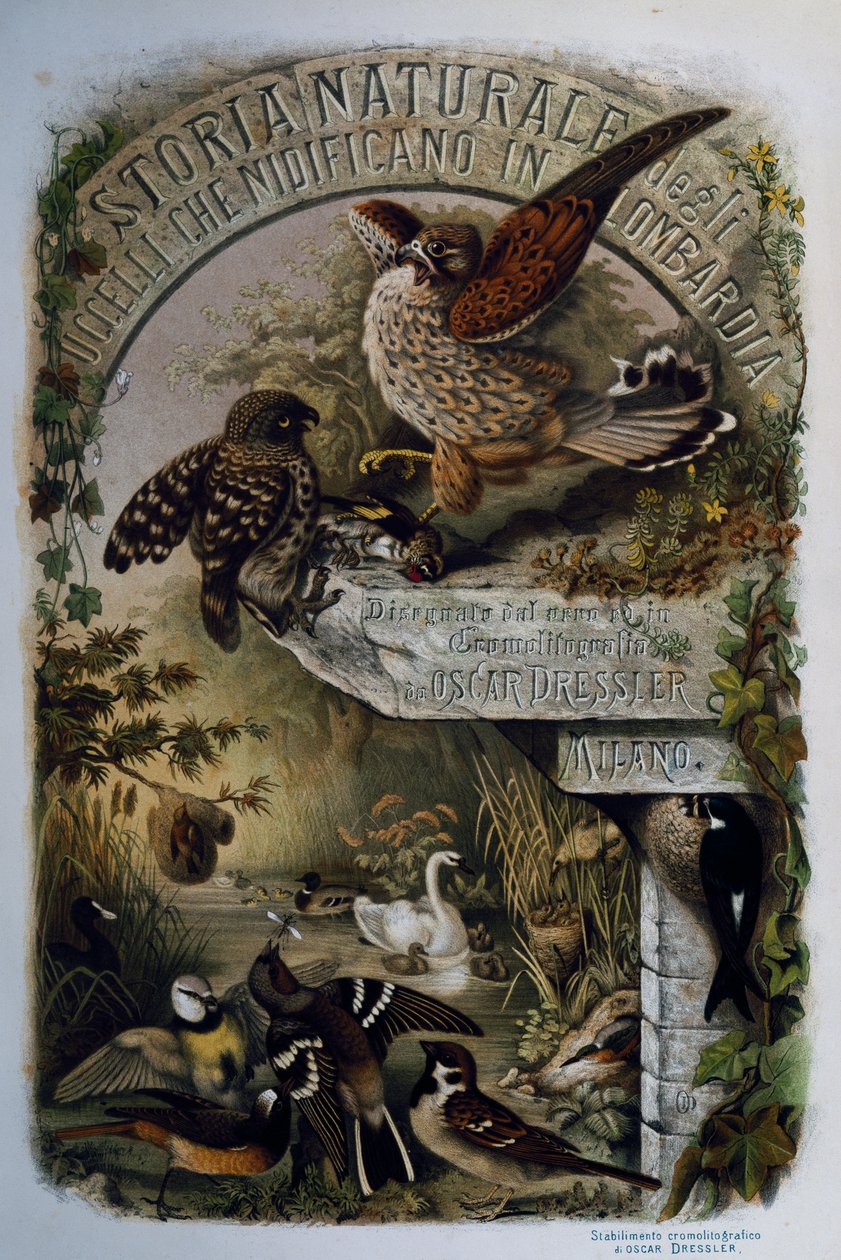 Página de título de História Natural das Aves que nidificam na Lombardia, de Eugenio Bettoni (1845-1898), gravura de Oscar Dressler, Itália de Eugenio Bettoni, Oscar Dressler