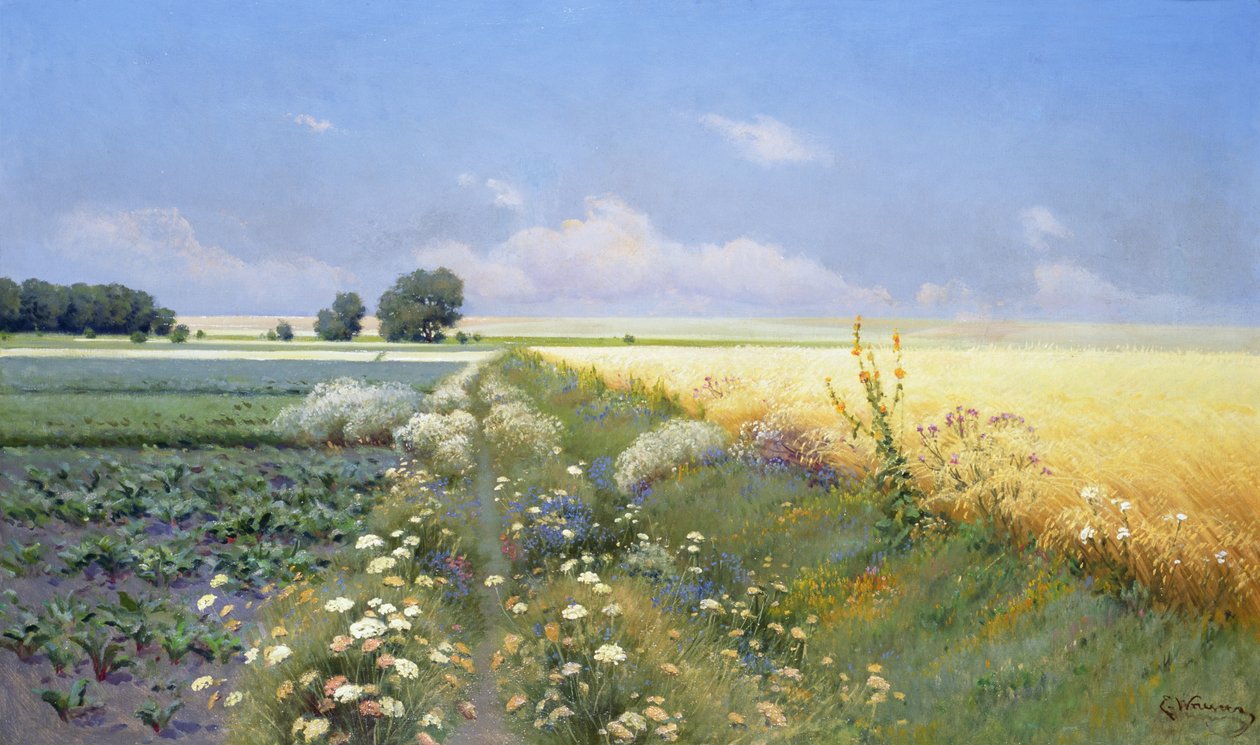 Paisagem de verão de Eugeniusz Wrzeszcz