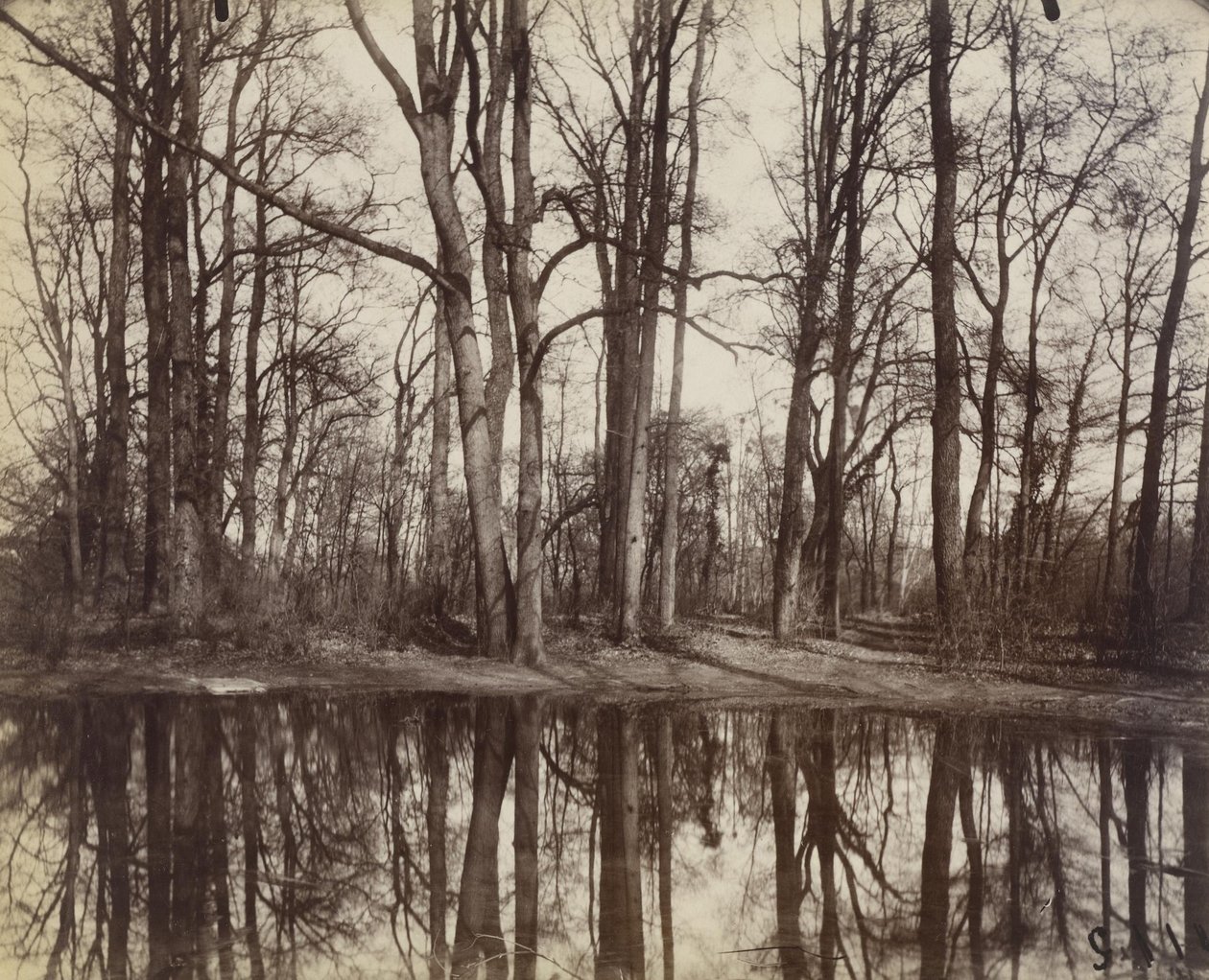 Saint-Cloud (jardins do castelo de Philippe Duc d&39;Orleans) de Eugène Atget