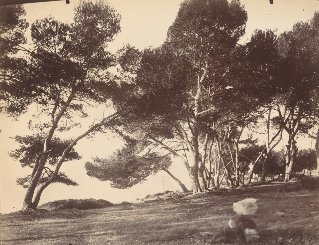 Cannes, Ilha de Saint Honorat de Eugène Atget