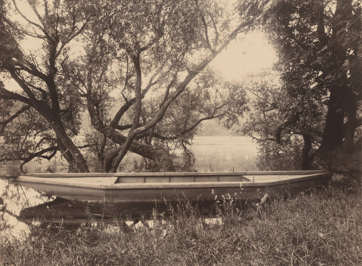 Lagoa de Corot, Ville-d
