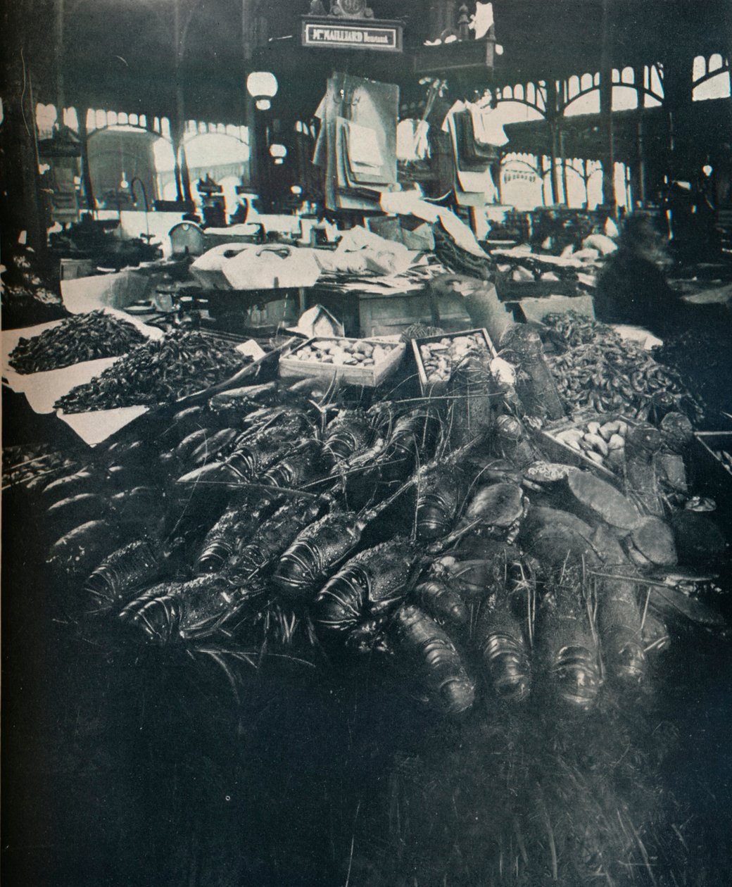 Mercado de Peixe, c1877-1927, 1929 de Eugène Atget
