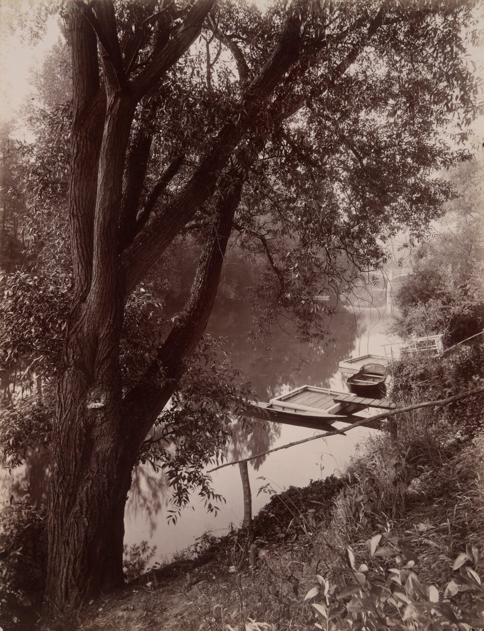 La Marne ? La Varenne (A Marne em La Varenne) de Eugène Atget