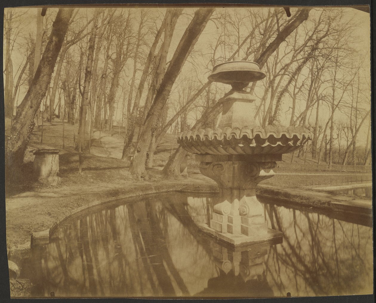 Parque de Saint Cloud (Parque de Saint Cloud) de Eugène Atget