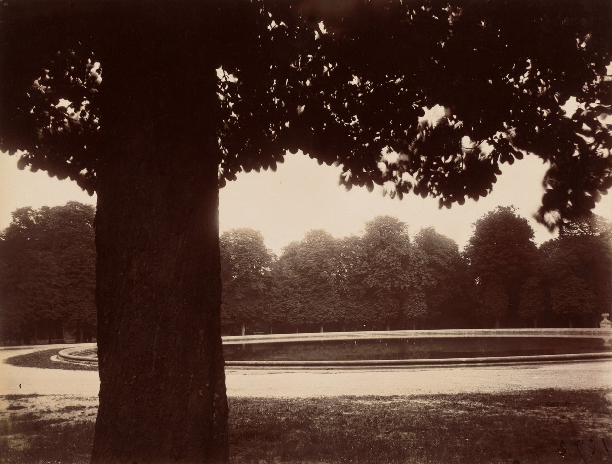Saint-Cloud de Eugène Atget