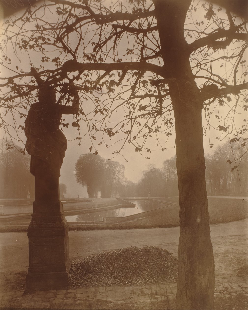 Saint-Cloud de Eugène Atget