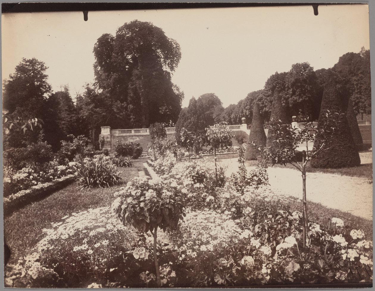 Saint-Cloud de Eugène Atget