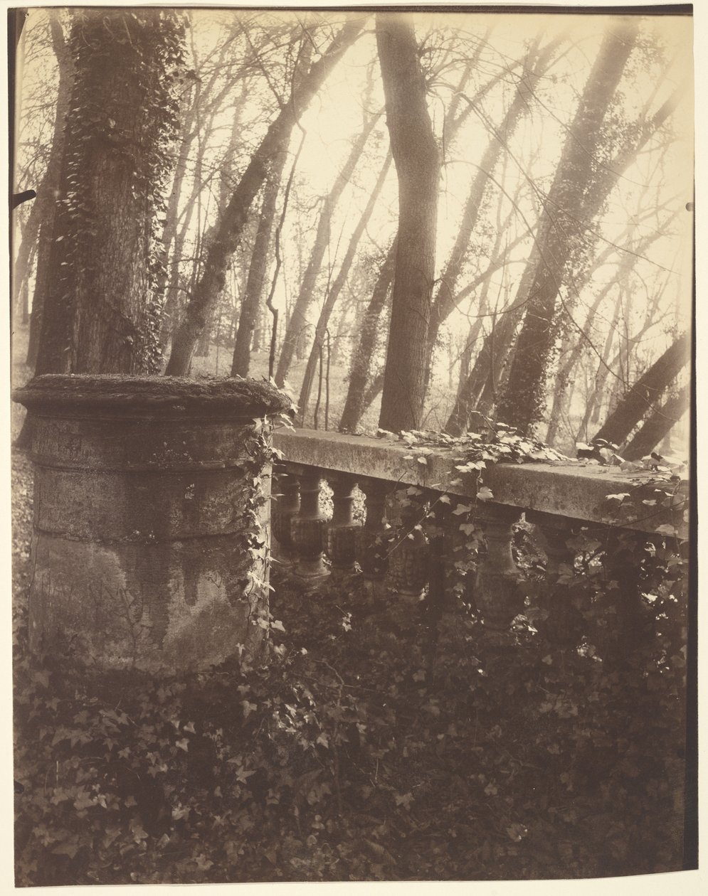 Parque Saint-Cloud, Paris de Eugène Atget