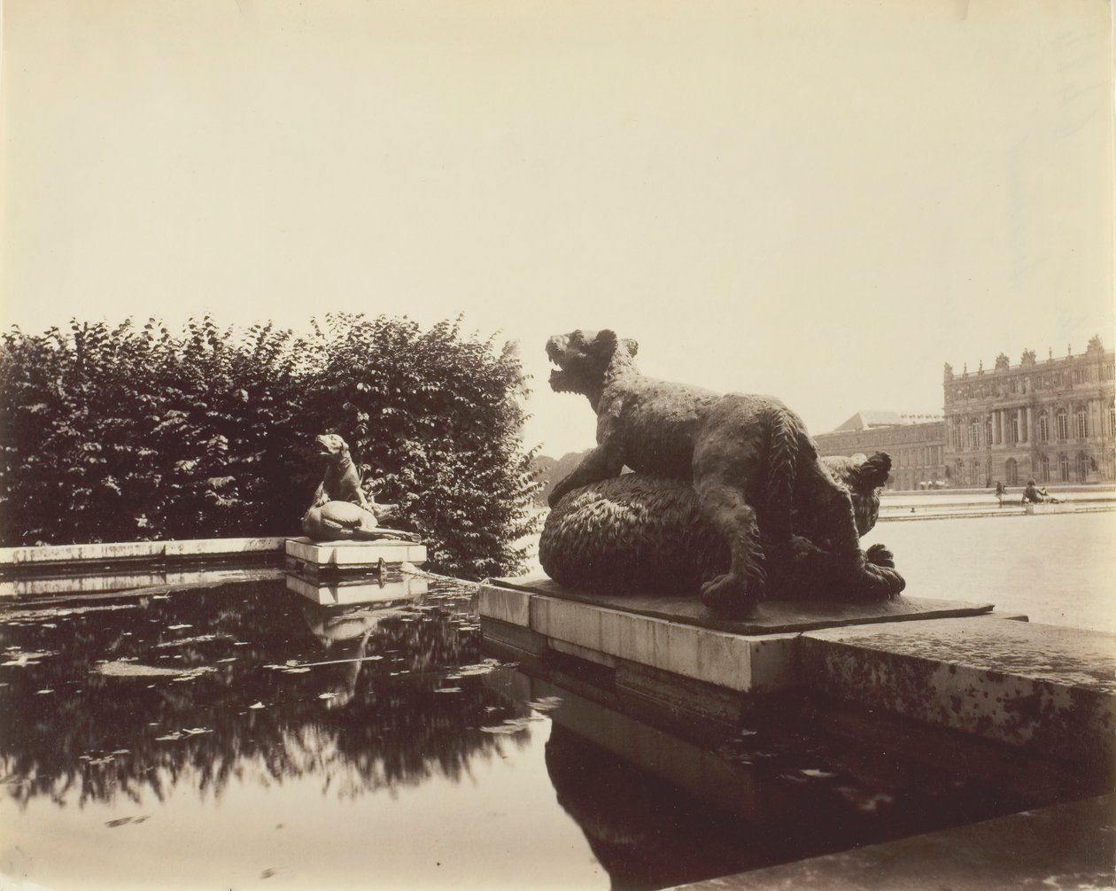Versalhes, Fontaine du Point du Jour, Tiger Slaying a Bear por Houzeau, 1903. de Eugène Atget