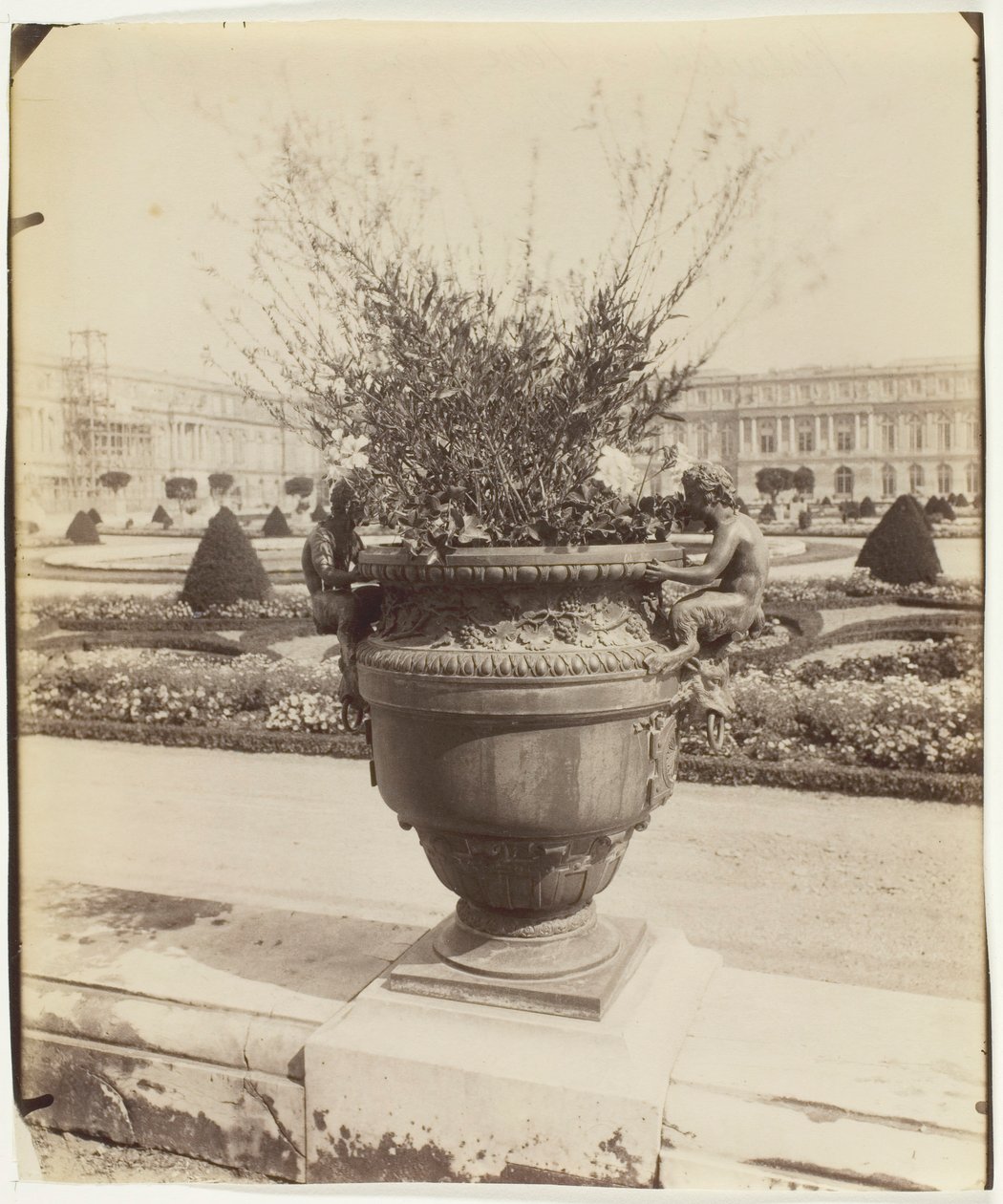 Versalhes, Vaso de Ballin, 1902. de Eugène Atget