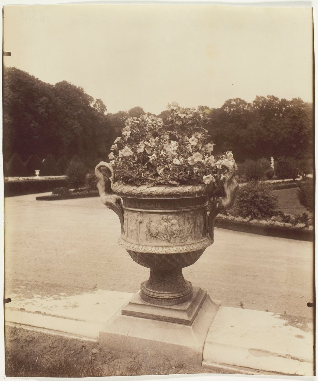 Versalhes, Vaso de Ballin, 1902. de Eugène Atget